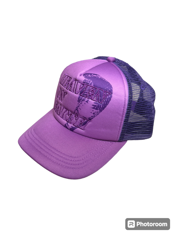 Heaven On Earth Snake Hat Purple