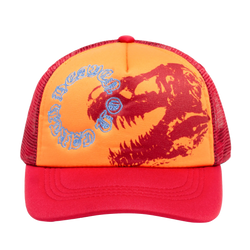 HEAVEN ON EARTH THE REX SKULL HAT