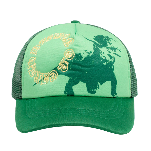 HEAVEN ON EARTH THE TRICERATOPS HAT