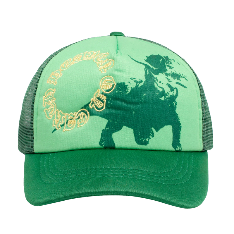 HEAVEN ON EARTH THE TRICERATOPS HAT