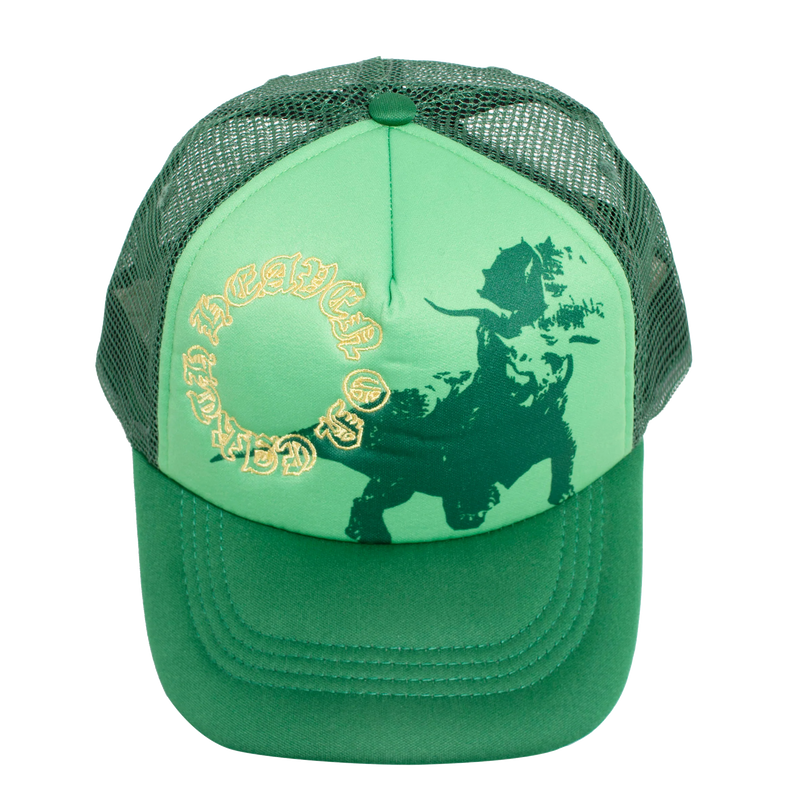 HEAVEN ON EARTH THE TRICERATOPS HAT