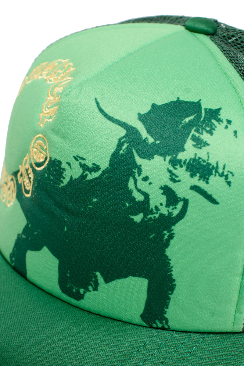 HEAVEN ON EARTH THE TRICERATOPS HAT